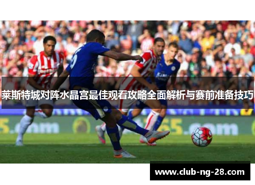 莱斯特城对阵水晶宫最佳观看攻略全面解析与赛前准备技巧