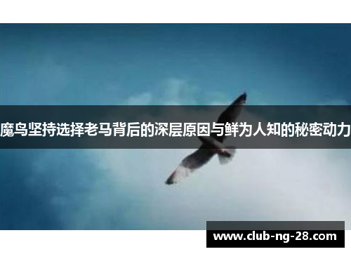 魔鸟坚持选择老马背后的深层原因与鲜为人知的秘密动力 魔鸟坚持选择老马背后的深层原因与鲜为人知的秘密动力