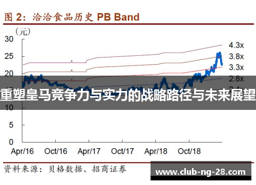 重塑皇马竞争力与实力的战略路径与未来展望 重塑皇马竞争力与实力的战略路径与未来展望