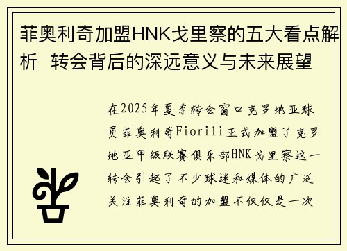 菲奥利奇加盟HNK戈里察的五大看点解析  转会背后的深远意义与未来展望