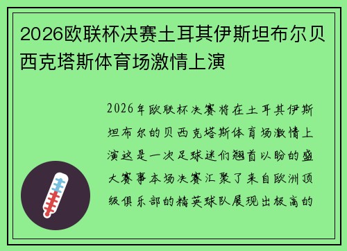 2026欧联杯决赛土耳其伊斯坦布尔贝西克塔斯体育场激情上演