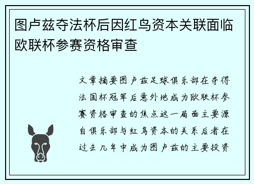 图卢兹夺法杯后因红鸟资本关联面临欧联杯参赛资格审查
